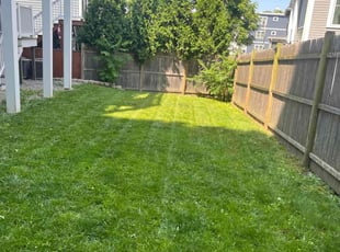 Jacqueline G.'s Lawn Maintenance service result