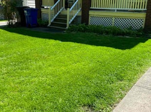 Lesley K.'s Lawn Care service result