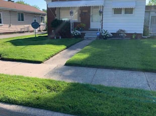 Kiesha H.'s Lawn Maintenance service result