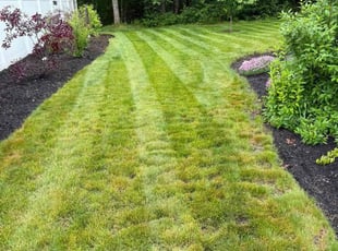 Marquita B.'s Mulching service result