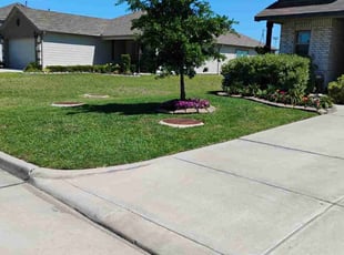Roman C.'s Lawn Mowing Service service result
