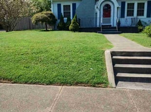 Ulrike P.'s Lawn Service service result