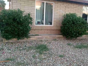 Bush Trimming by Julia Laurean for Orlene C. in Tempe, AZ