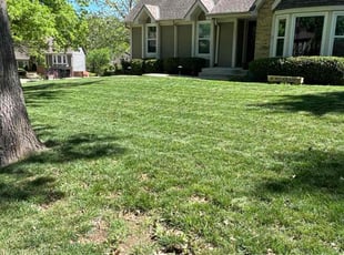 Sidat N.'s Yard Cutting service result
