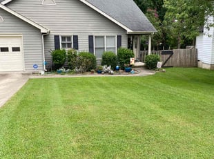 Chris S.'s Lawn Mowing service result