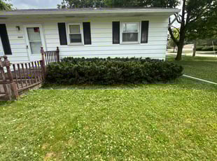 Kimberly K.'s Bush Trimming service result