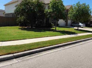 Ariel M.'s Lawn Mowing service result