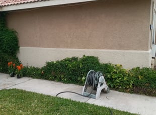 Bush Trimming by Hype's Lawn And Window Cleaning for Yvonne N. in Fontana, CA