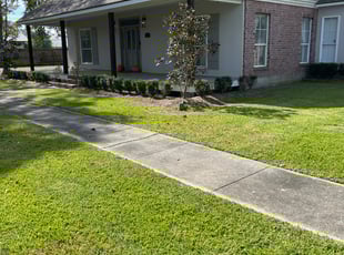 Bush Trimming by Carl George for Derek S. in Baton Rouge, LA