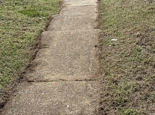 Donavan M.'s Lawn Maintenance service result