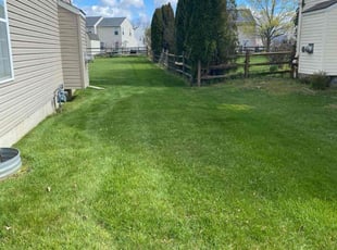 Asonya C.'s Lawn Mowing service result
