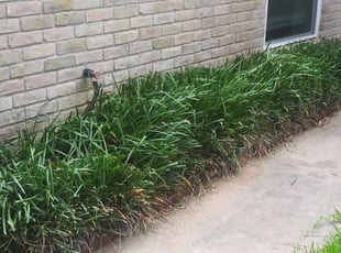 Landscaping by Clarence Bryant for Blake O. in Houston, TX