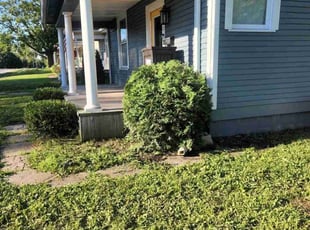 Bush Trimming by Chad Mann for Kiana B. in Indianapolis, IN