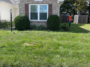 Bush Trimming by Luis Contreras for Andrea H. in Westfield, IN