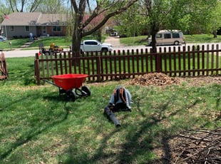 Carrol R.'s Cleanups service result
