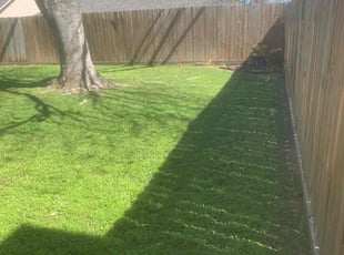 Joanne L.'s Lawn Mowing service result