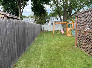 Latoshia J.'s Lawn Mowing Service service result