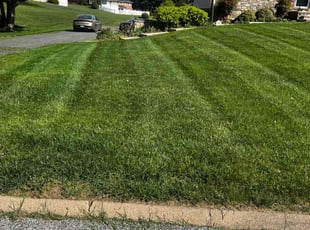 Rudolf C.'s Lawn Mowing service result