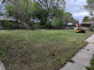 Leaf Removal by Junior Zamora for Nathan S. in Brighton, CO