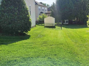 Candace D.'s Lawn Maintenance service result