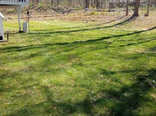 Theresa R.'s Lawn Mowing service result