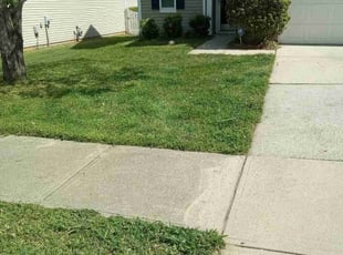 Nikolas S.'s Lawn Care service result