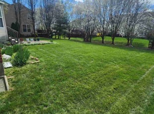 Mackinnie M.'s Grass Cutting service result