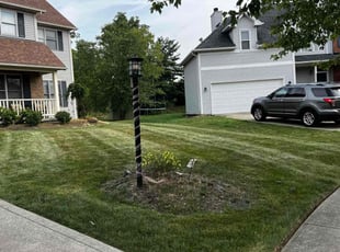 Victor L.'s Yard Cutting service result