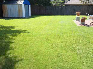 Kaylee C.'s Yard Cutting service result