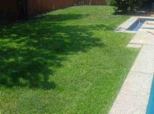 Joyce H.'s Lawn Service service result