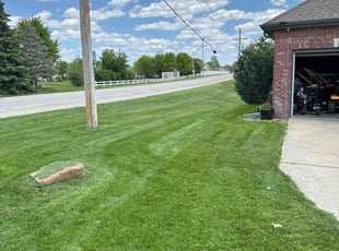 Heather B.'s Lawn Mowing Service service result