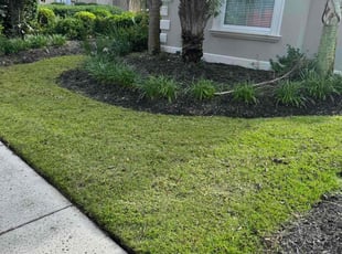 Mary A.'s Lawn Mowing Service service result
