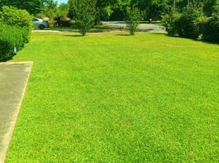 Elizabeth M.'s Lawn Mowing service result