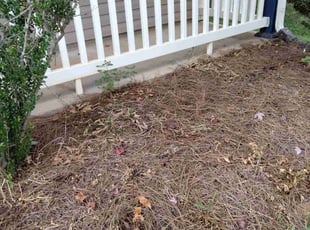 Weeding by Willie Thomas for undefined S. in Charlotte, NC