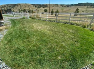 Colbey W.'s Yard Cutting service result