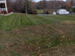Leaf Removal by Jose Murcia for Gary W. in Manassas, VA