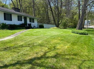 Janesta H.'s Lawn Mowing service result
