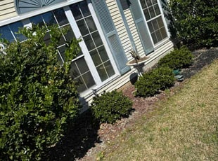 Weeding by Marco Garcia for Kenneth D. in Murrells Inlet, SC