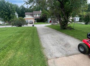 Ebony F.'s Lawn Mowing Service service result