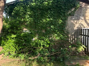 Leaf Removal by Daniel Torres for Theresa C. in Norristown, PA
