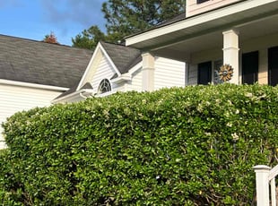 Bush Trimming by Jaczuile Pegues for Jaquita R. in Columbia, SC