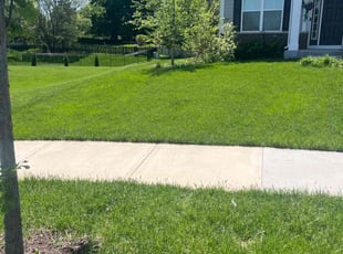 Cleanups by Phillip Kukla for Vishak A. in Lake Zurich, IL