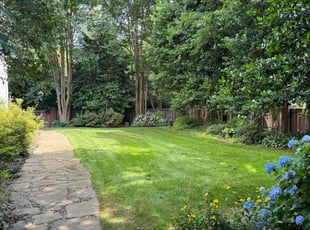 Rose N.'s Lawn Service service result
