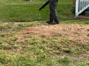Cleanups by James Mozelle for Jennifer M. in Hampton, VA