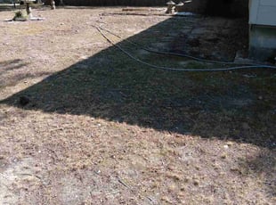 Bush Trimming by Gary Tolbert for Judy F. in Benton, AR