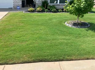 Lesli J.'s Lawn Care service result