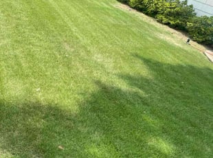 Erica S.'s Lawn Care service result