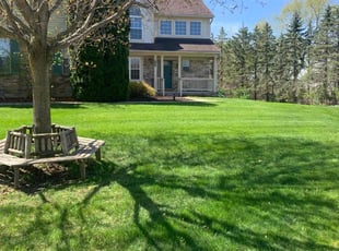 Mike Y.'s Yard Cutting service result