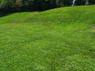 Hikmat Q.'s Grass Cutting service result