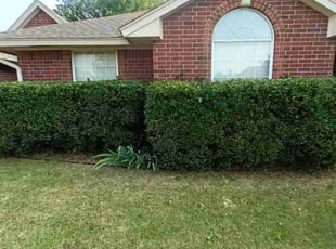 Bush Trimming by Zachary Waggoner for Amanda P. in Norman, OK